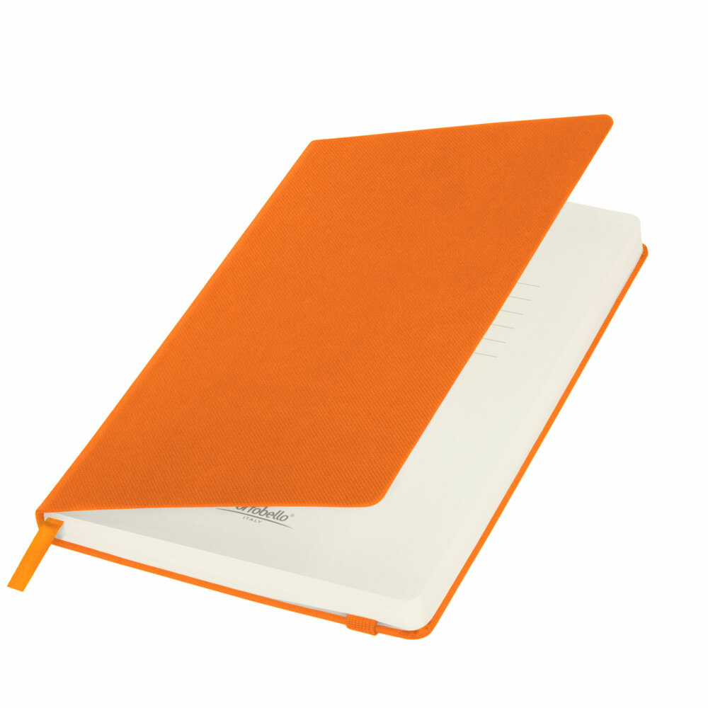 00327.070&nbsp;620.000&nbsp;Ежедневник недатированный Canyon BtoBook, оранжевый&nbsp;113219