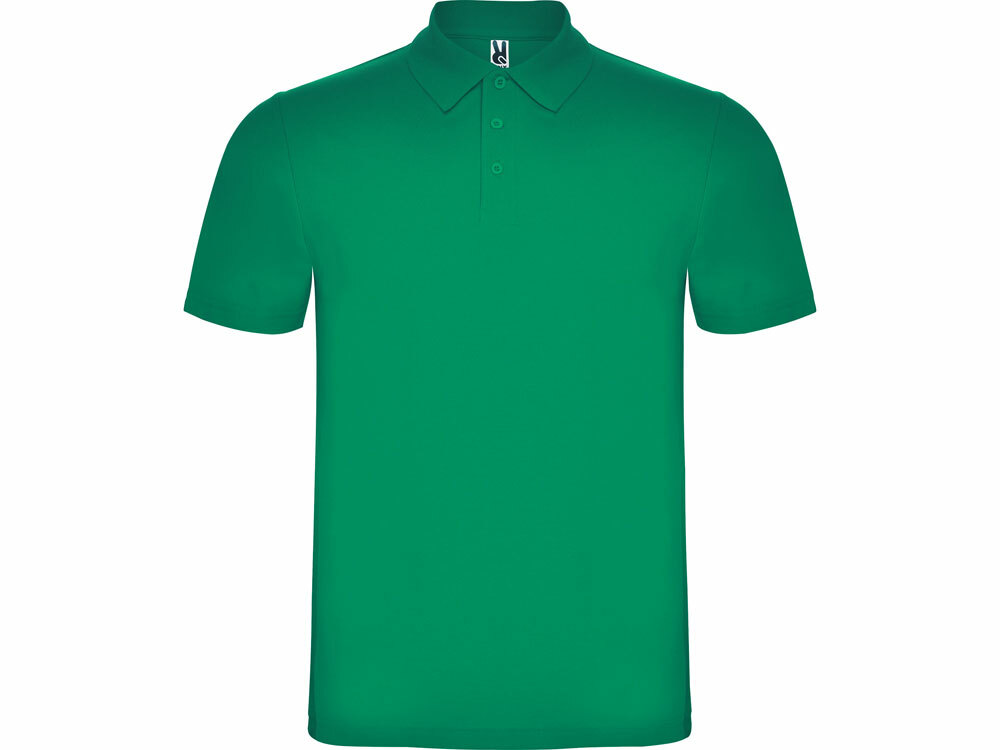 6632203XL&nbsp;1267.400&nbsp;Рубашка поло "Austral" мужская, зеленый&nbsp;184323