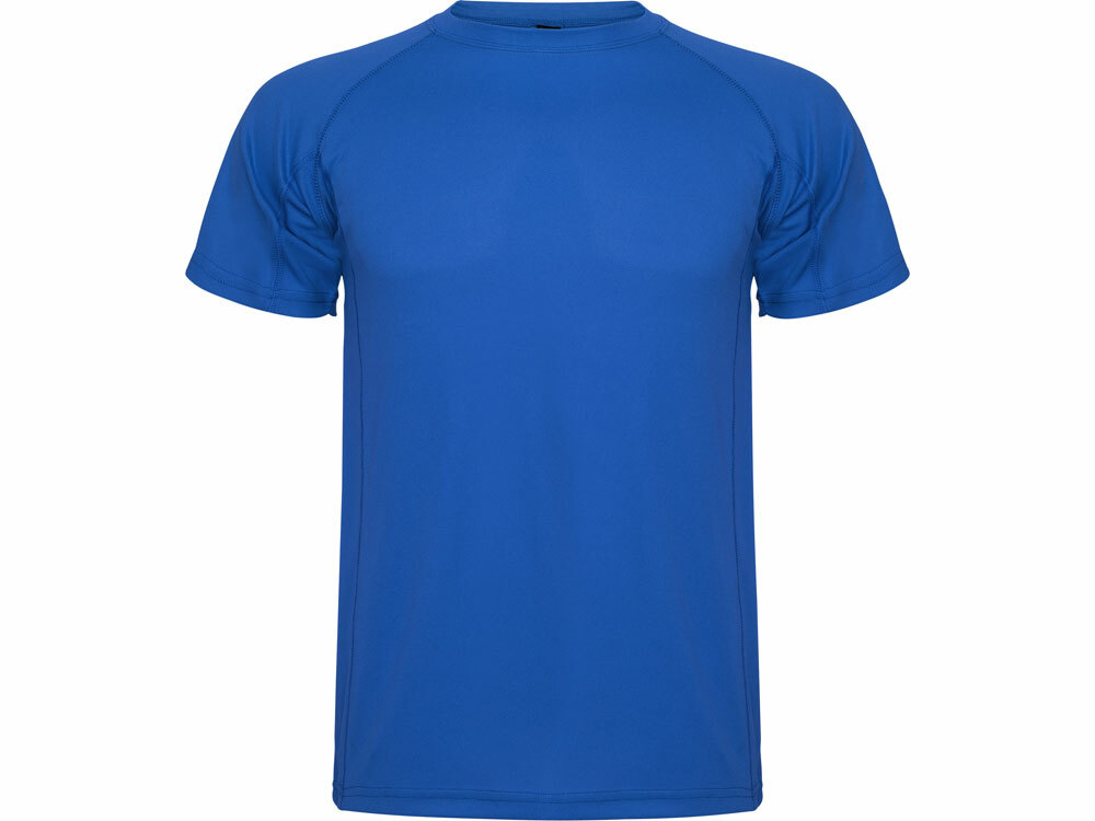 425005S&nbsp;696.400&nbsp;Спортивная футболка "Montecarlo" мужская, королевский синий&nbsp;190650