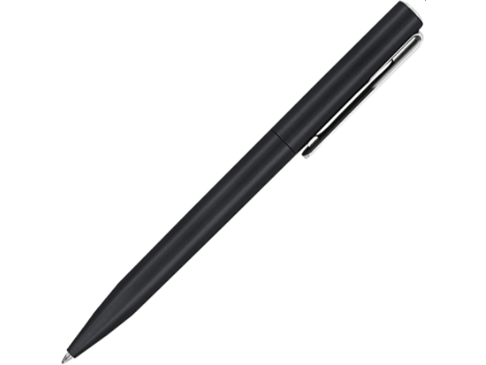 HW8012S102&nbsp;36.000&nbsp;Ручка пластиковая шариковая DORMITUR, черный&nbsp;226156