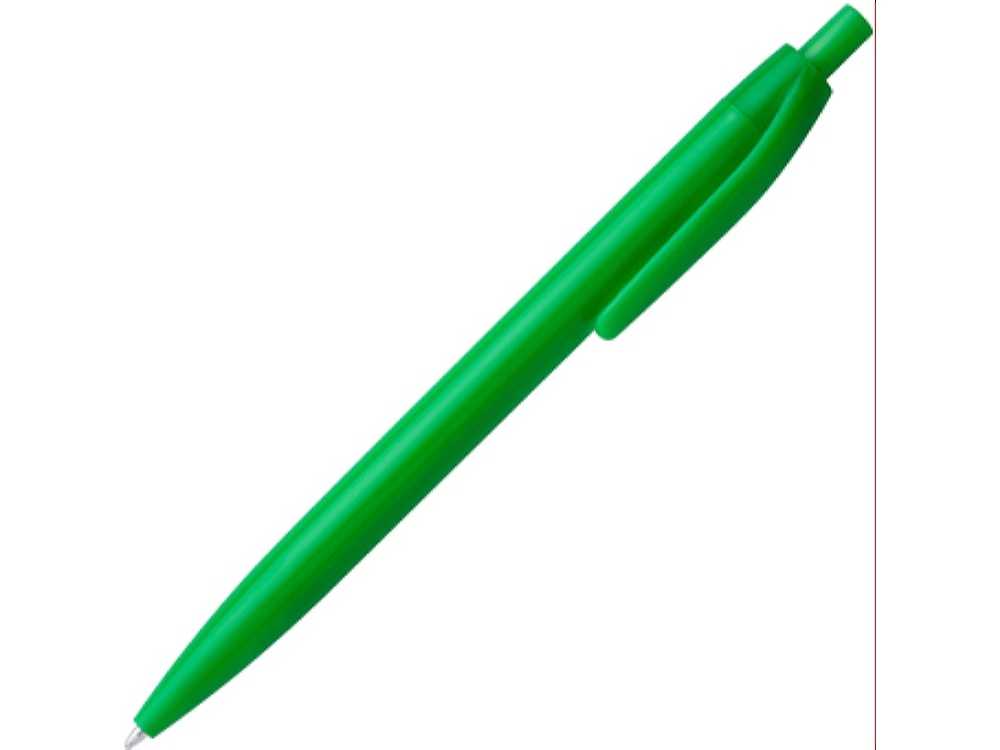 HW8010S1226&nbsp;25.100&nbsp;Ручка пластиковая шариковая STIX, синие чернила, папоротник&nbsp;226106