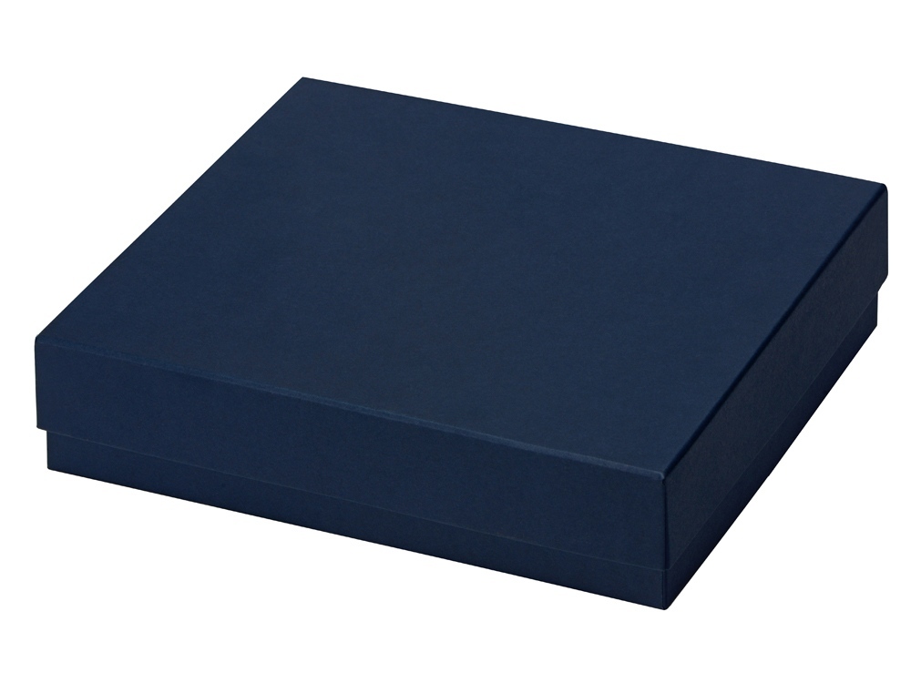 625412.01&nbsp;582.050&nbsp;Подарочная коробка с эфалином Obsidian L 243 х 208 х 63, синий&nbsp;229880
