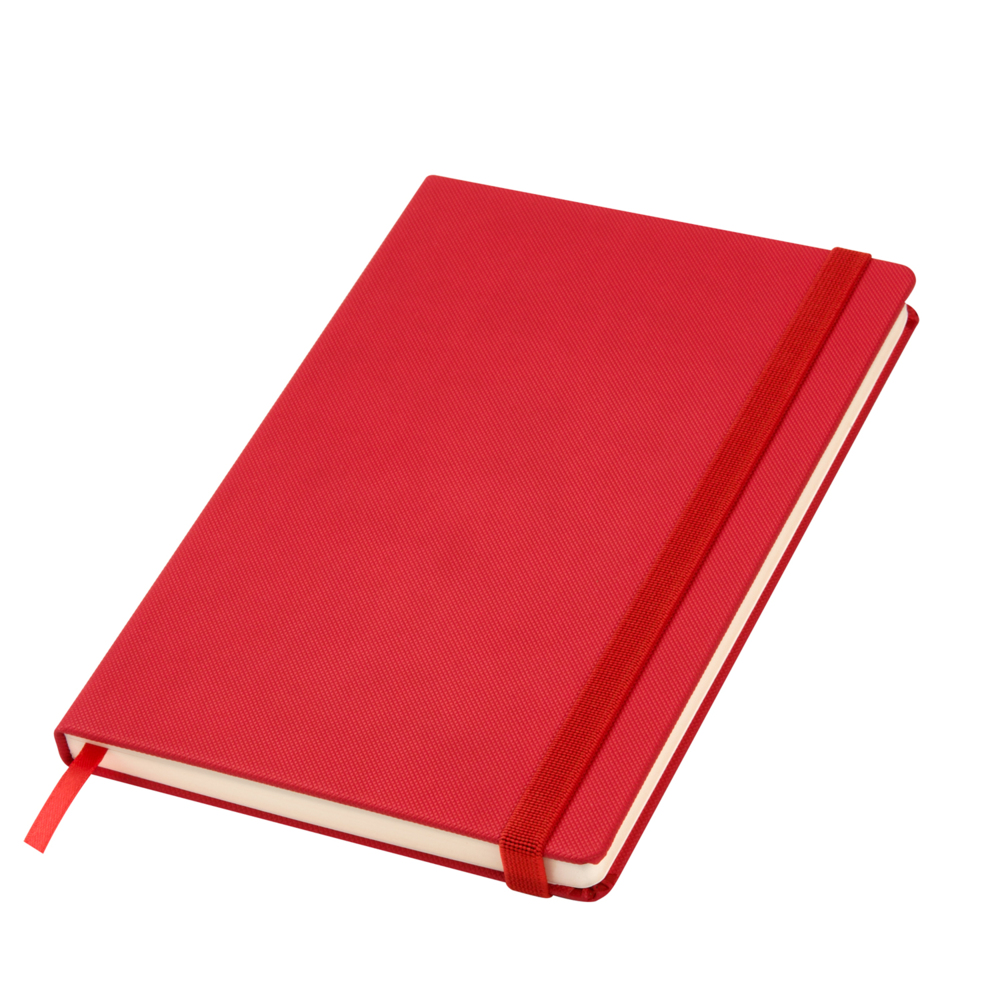 00327.060&nbsp;558.000&nbsp;Ежедневник недатированный Canyon Btobook, красный (без упаковки, без стикера)&nbsp;215651