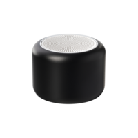 621002.010&nbsp;3435&nbsp;Беспроводная колонка Passion 80dB 600 mAh (Bluetooth 5.4), черная&nbsp;278175