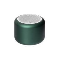 621002.040&nbsp;3435&nbsp;Беспроводная колонка Passion 80dB 600 mAh (Bluetooth 5.4), зеленая&nbsp;278176