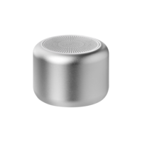 621002.111&nbsp;3435&nbsp;Беспроводная колонка Пэшн (Passion) 80dB 600 mAh (Bluetooth 5.4), серебряная&nbsp;278865