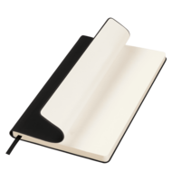 19280.011.2&nbsp;769&nbsp;Ежедневник Спарк (Spark) недатированный, черный (без упаковки, без стикера)&nbsp;282167