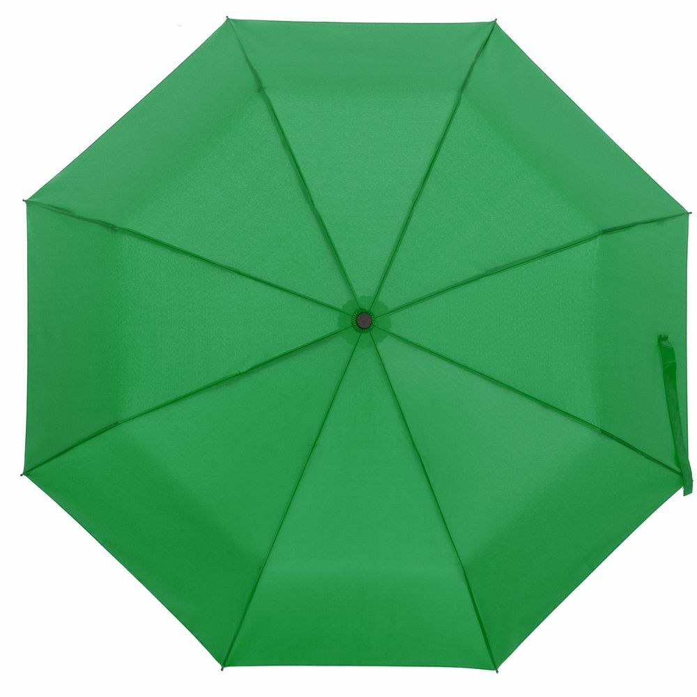 14518.90&nbsp;1670.000&nbsp;Зонт складной Monsoon, зеленый&nbsp;146790