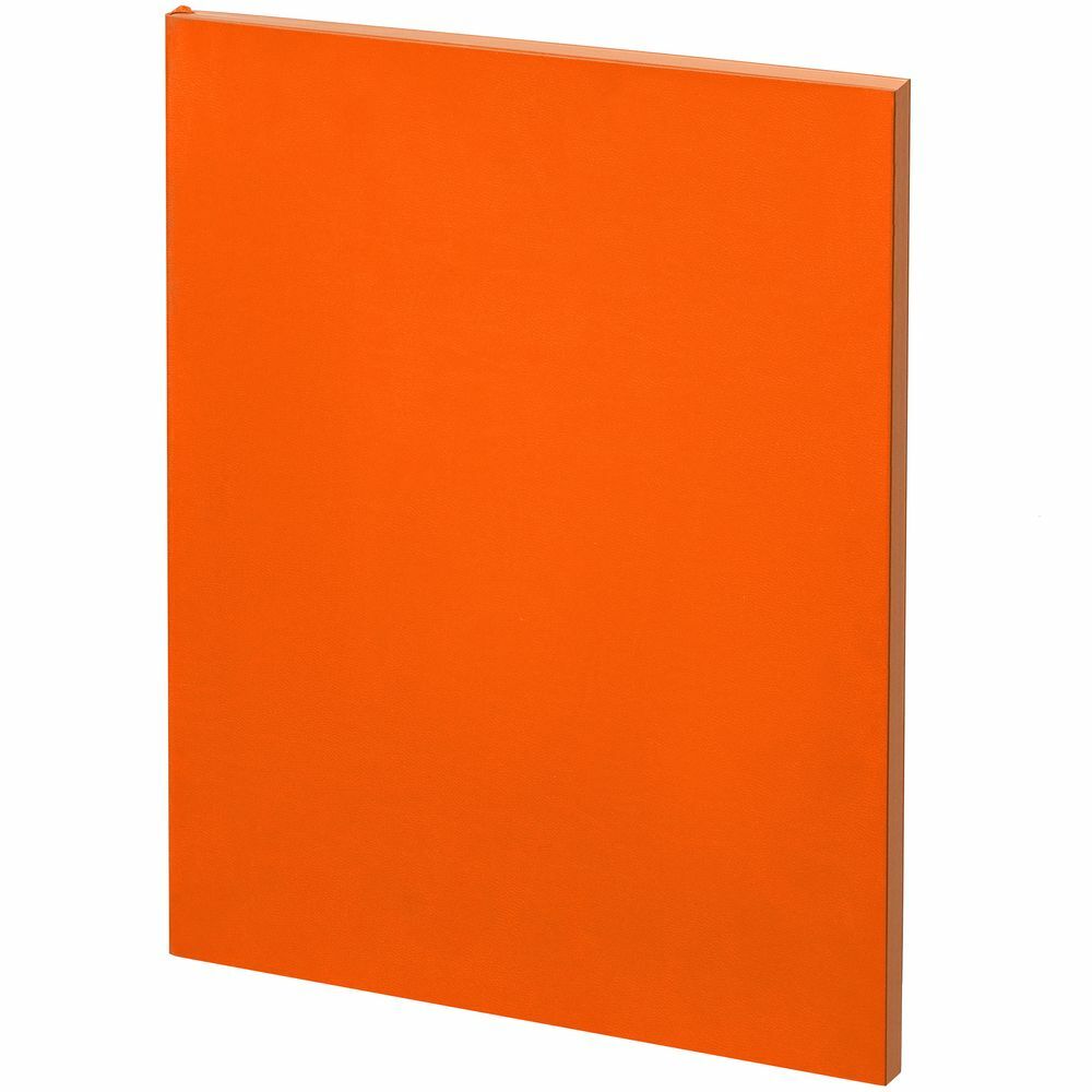 17892.20&nbsp;905.000&nbsp;Ежедневник Flat Maxi, недатированный, оранжевый&nbsp;164737