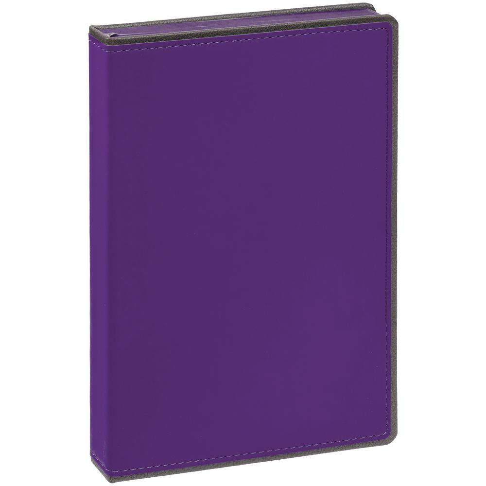 16603.71&nbsp;1020.000&nbsp;Ежедневник Frame, недатированный, фиолетовый с серым&nbsp;222083
