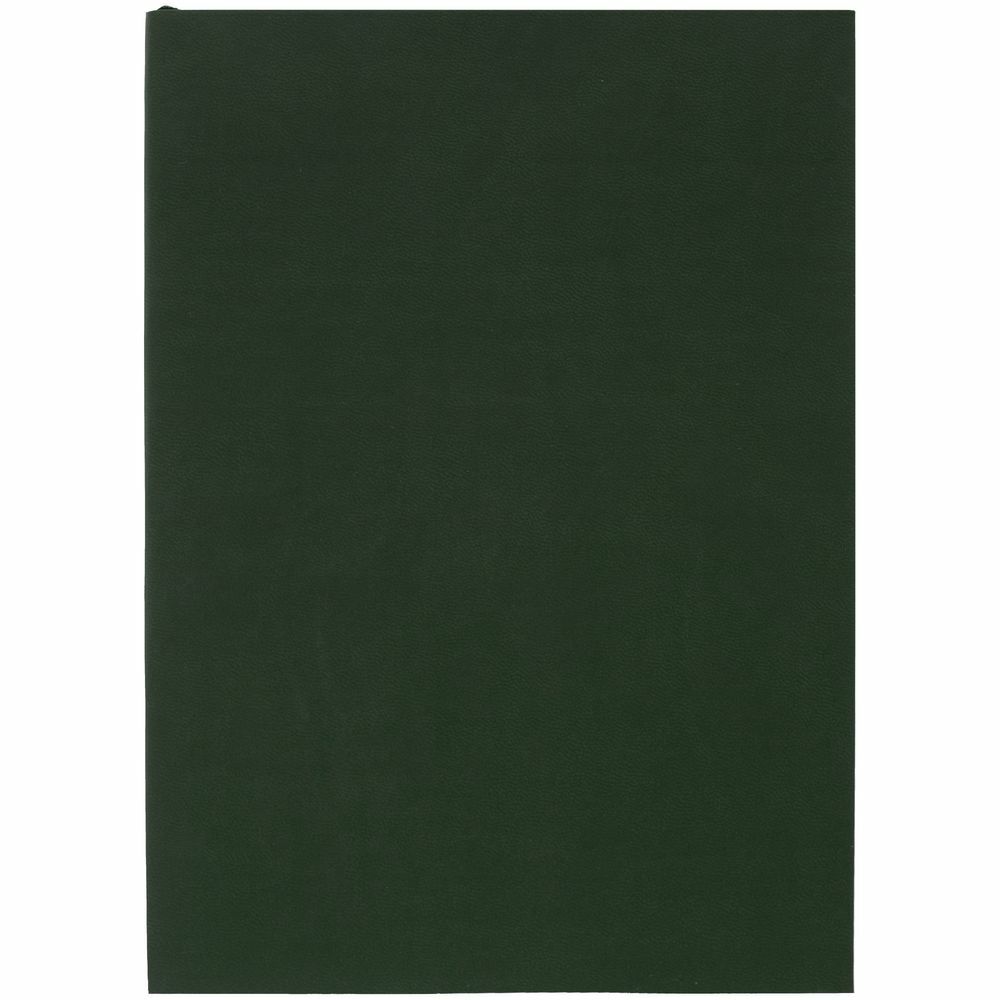 17893.99&nbsp;380.000&nbsp;Ежедневник Flat, недатированный, зеленый, без ляссе&nbsp;239181