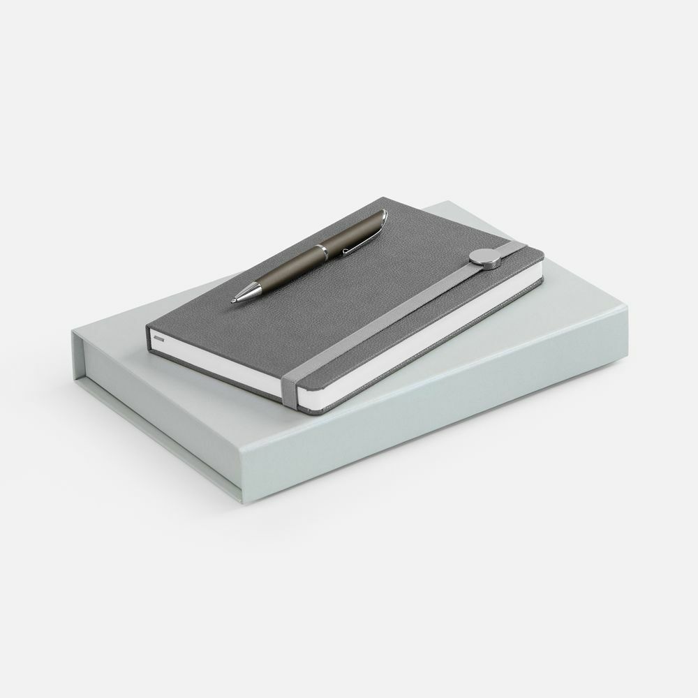 10748.10&nbsp;1956&nbsp;Набор Coach, серый&nbsp;101534