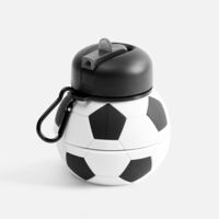 17492.63&nbsp;748&nbsp;Складная бутылка для воды Football Flex, белая с черным&nbsp;271154