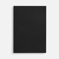 17876.33&nbsp;347&nbsp;Ежедневник Flat Light, недатированный, черный&nbsp;277114