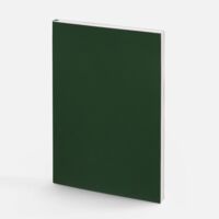17876.99&nbsp;347&nbsp;Ежедневник Flat Light ver.2, недатированный, зеленый&nbsp;285095