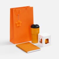 20980.20&nbsp;2233&nbsp;Набор Astrela, оранжевый&nbsp;278044