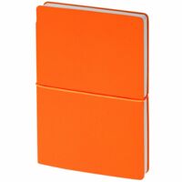 21168.20&nbsp;830&nbsp;Ежедневник Flexpen Bright, недатированный, оранжевый&nbsp;274736