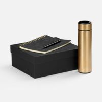 21398.30&nbsp;3387&nbsp;Набор Spiral Gold, черный&nbsp;278167