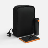 21941.32&nbsp;4682&nbsp;Набор Flexpen Travel, черный с оранжевым&nbsp;281938