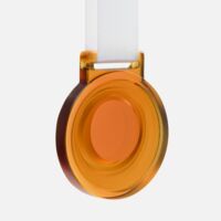 22118.20&nbsp;1450&nbsp;Медаль Glassglow, оранжевая&nbsp;278256