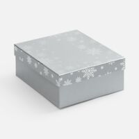 25022.10&nbsp;720&nbsp;Коробка Wintry, серебристая&nbsp;275527