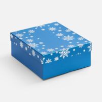 25022.40&nbsp;720&nbsp;Коробка Wintry, синяя&nbsp;275528