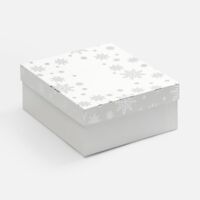25022.60&nbsp;720&nbsp;Коробка Wintry, белая&nbsp;275526