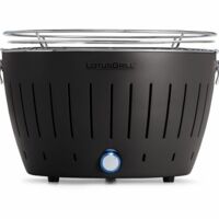 63076.10&nbsp;32200&nbsp;Угольный гриль Lotus Grill Classic, серый (антрацит)&nbsp;277448