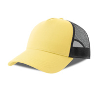 254179-S.4935&nbsp;1085&nbsp;Бейсболка RAPPER COTTON-S, 5 клиньев, пластиковая застёжка&nbsp;282055