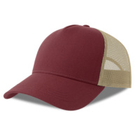 254179-S.1328&nbsp;1085&nbsp;Бейсболка RAPPER COTTON-S, 5 клиньев, пластиковая застёжка&nbsp;272918