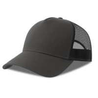 254179-S.3035&nbsp;1085&nbsp;Бейсболка RAPPER COTTON-S, 5 клиньев, пластиковая застёжка&nbsp;272919