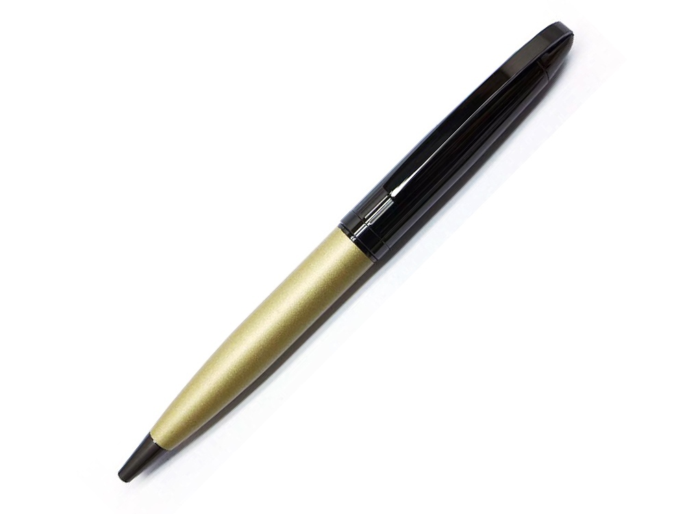 421379&nbsp;2980.000&nbsp;Ручка шариковая Pierre Cardin NOUVELLE, цвет - черненая сталь и оливковый. Упаковка E.&nbsp;206411