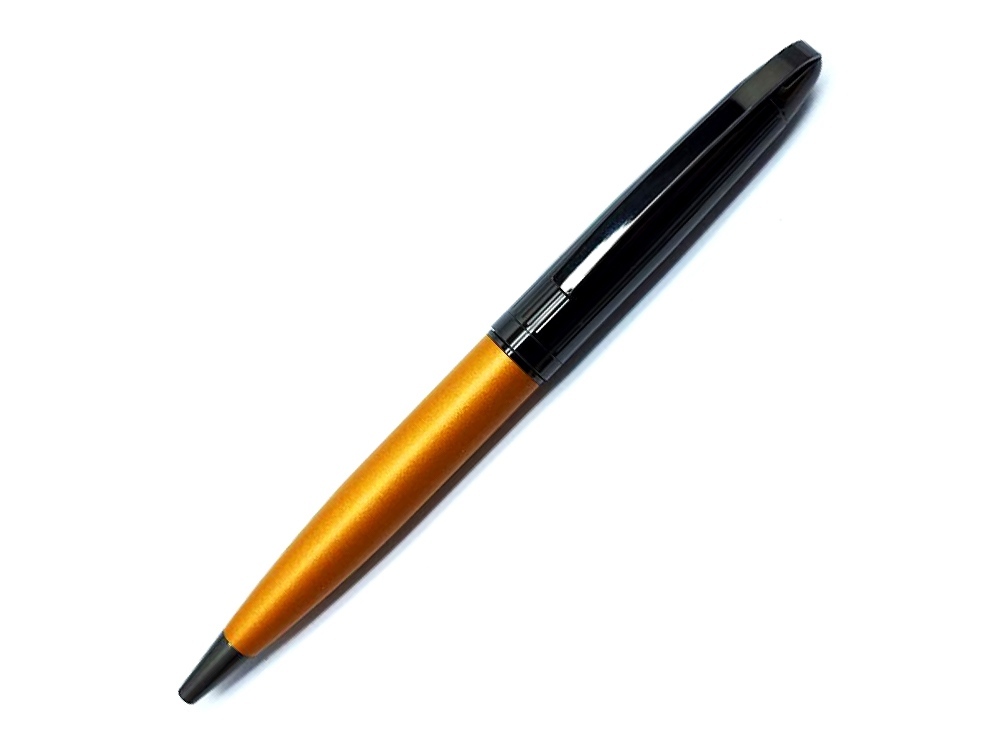 421381&nbsp;2980.000&nbsp;Ручка шариковая Pierre Cardin NOUVELLE, цвет - черненая сталь и оранжевый. Упаковка E.&nbsp;206413