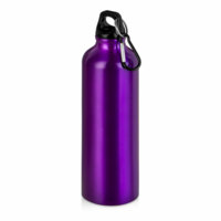 5-10029708p&nbsp;365.330&nbsp;Бутылка "Hip M" с карабином, 770 мл, пурпурный (Р)&nbsp;225803