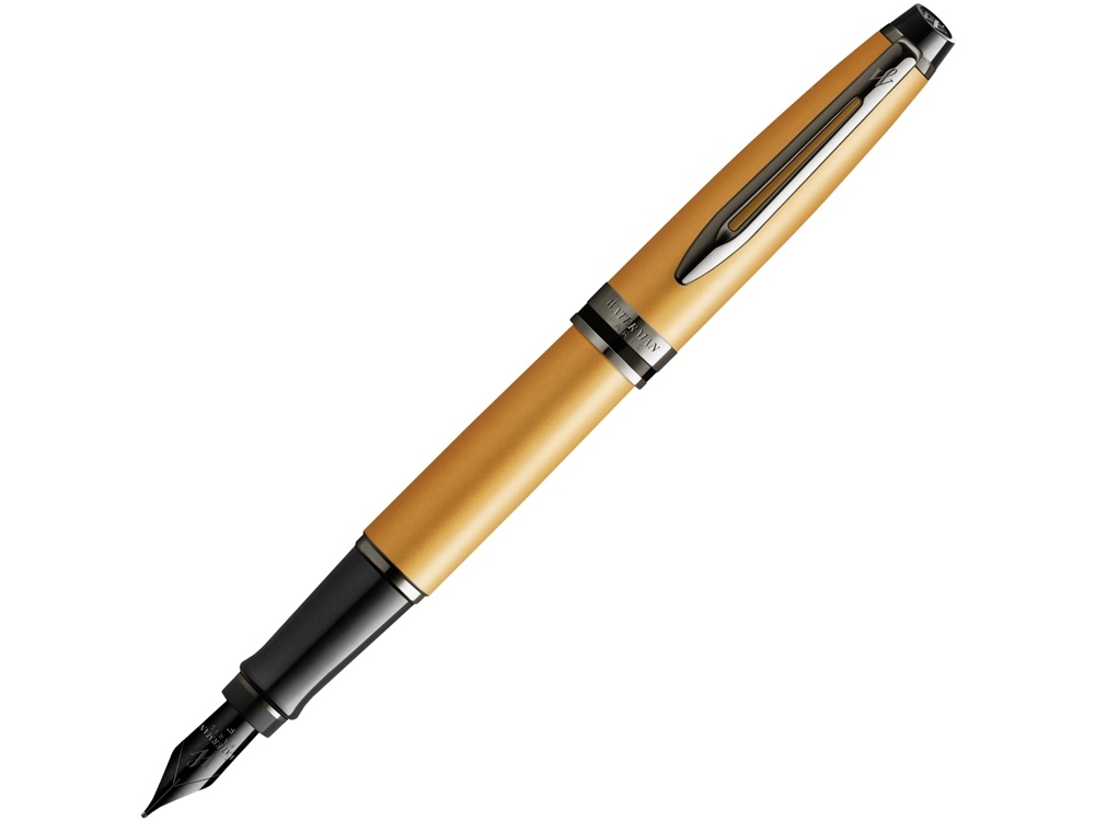 2119257&nbsp;39500.000&nbsp;Перьевая ручка Waterman Expert GoldF BLK в подарочной упаковке&nbsp;227260