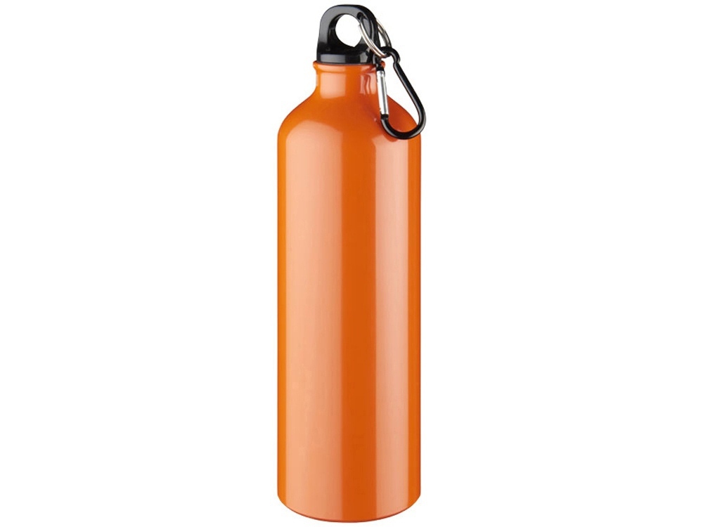 10029707p&nbsp;431.840&nbsp;Алюминиевая бутылка для воды Oregon объемом 770 мл с карабином - Оранжевый (P)&nbsp;231881