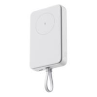 595976&nbsp;4303.63&nbsp;Внешний аккумулятор с кабелем Xiaomi 33W Magnetic Power Bank 10000mAh (Integrated Cable) White&nbsp;282024