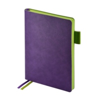 3-808.10.26&nbsp;846.71&nbsp;Ежедневник А5 датированный "Boston" 2026, фиолетовый с салатовым обрезом&nbsp;282053