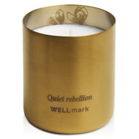 12640814&nbsp;6238.08&nbsp;Ароматическая свеча Wellmark «Quiet Rebellion» - Золотой&nbsp;278211