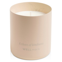 12640805&nbsp;6238.08&nbsp;Ароматическая свеча Wellmark "Echoes of Kindness"- Ecru бежевый&nbsp;278210