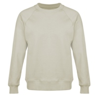 230463L&nbsp;2390&nbsp;Свитшот оверсайз с рукавом реглан «Belgrade», унисекс, оливковый&nbsp;267136