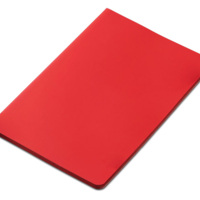 413520.01&nbsp;338.38&nbsp;Блокнот "Audrey" А5 на сшивке в гибкой обложке софт-тач, красный&nbsp;282194