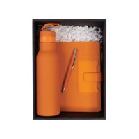 8006-10&nbsp;3256&nbsp;Набор "Успех" оранжевый&nbsp;279870