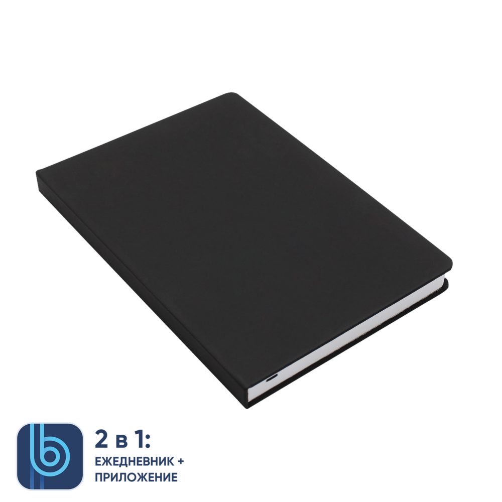 TC-740.02&nbsp;969.000&nbsp;Ежедневник Bplanner.02 (черный)&nbsp;241273